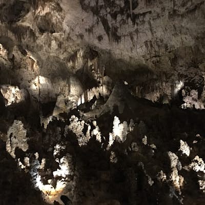 Descend into Carlsbad Caverns 