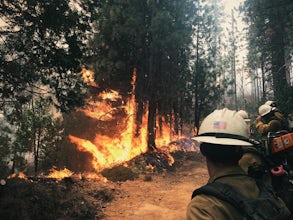5 Tips For Landing A Job As A Wildland Firefighter 