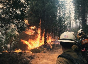 5 Tips For Landing A Job As A Wildland Firefighter 