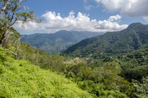 Hike the Oatley Mountain Trail