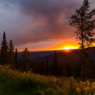 Sunset Hike on the West Vail Trail