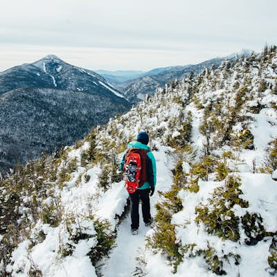 Hike to the Summit of Phelps Mountains