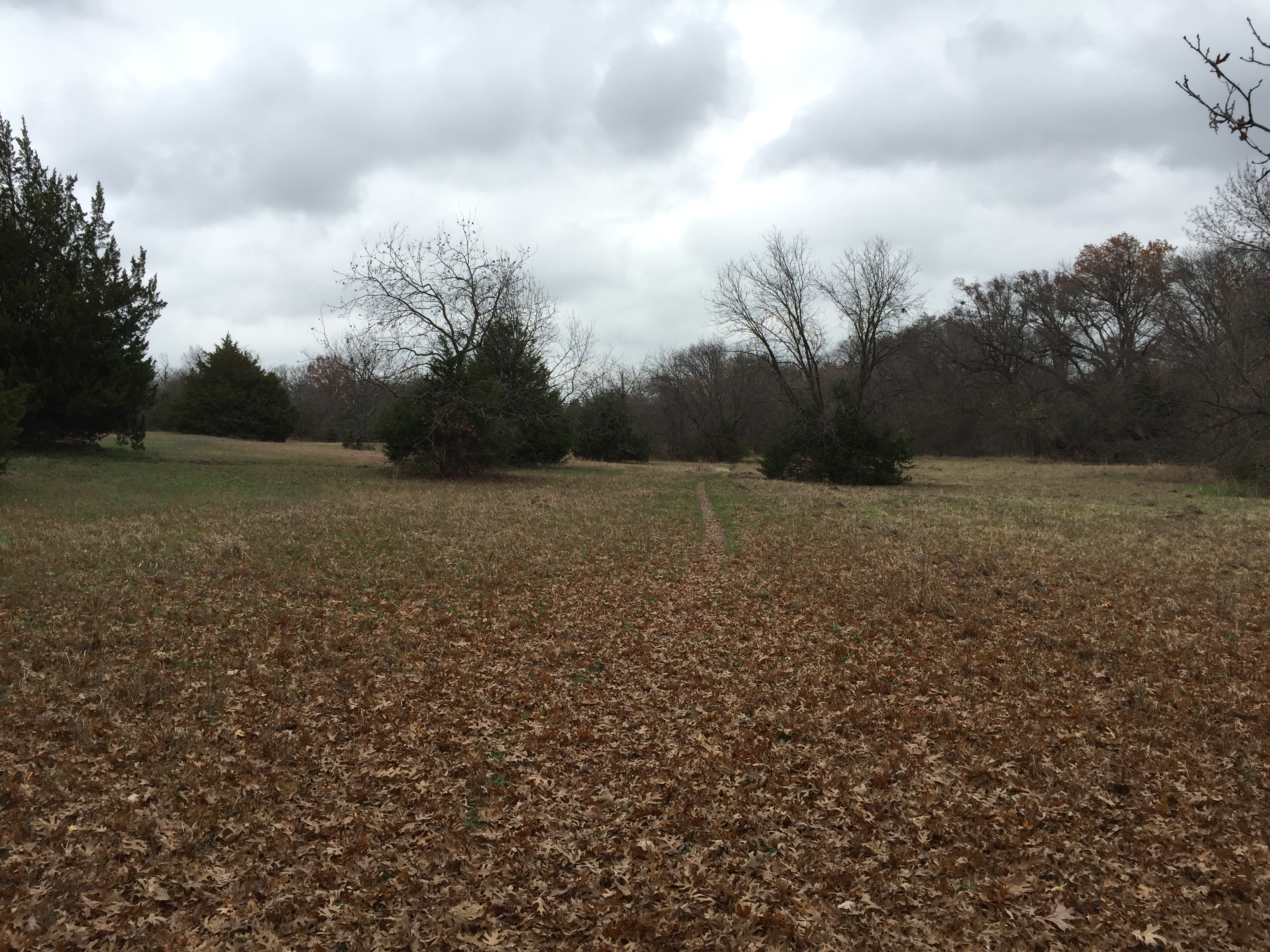 Mountain Bike at Erwin Park