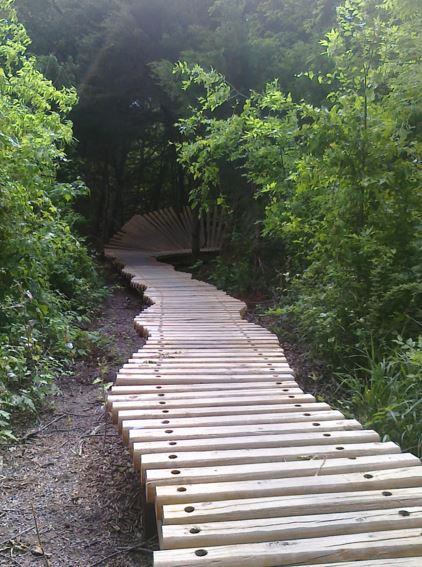 Mountain Bike at Erwin Park