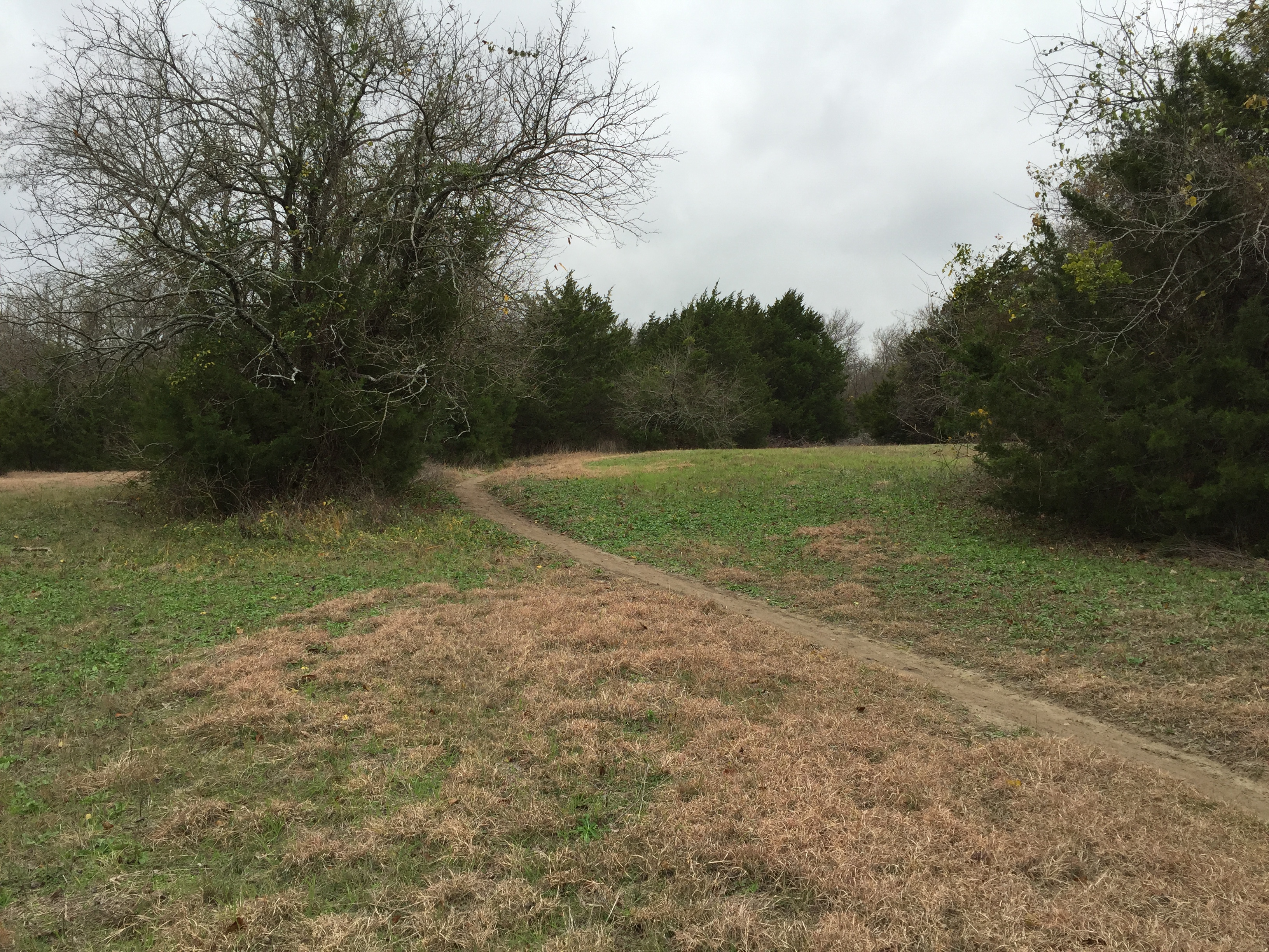 Mountain Bike at Erwin Park