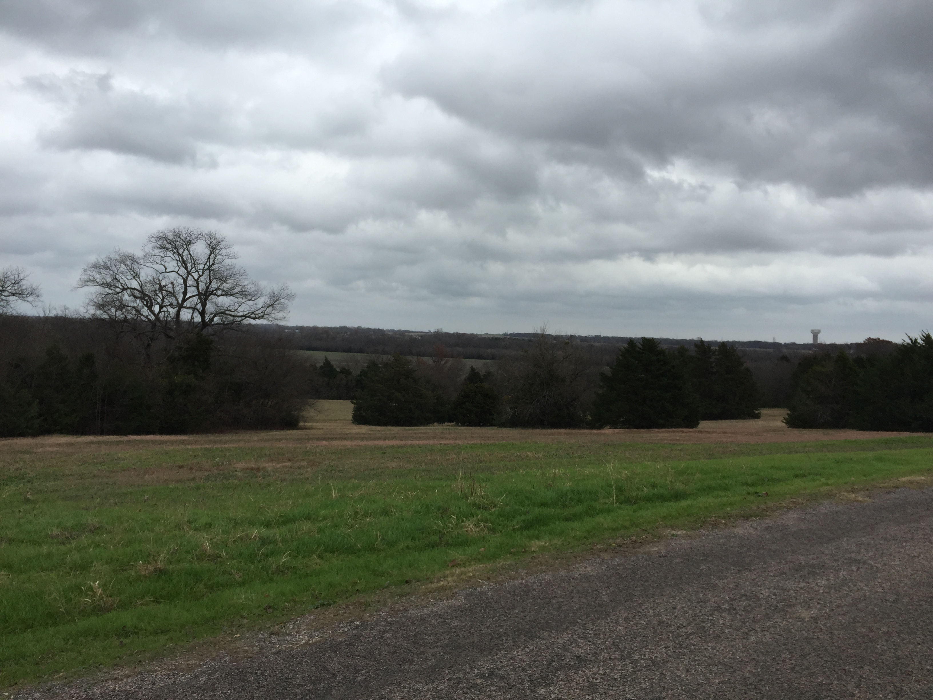 Mountain Bike at Erwin Park