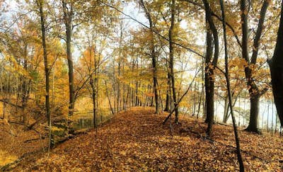 Run the Rocks and Roots Trail at Alum Creek State Park