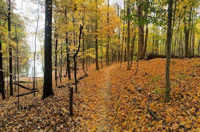 Run the Rocks and Roots Trail at Alum Creek State Park
