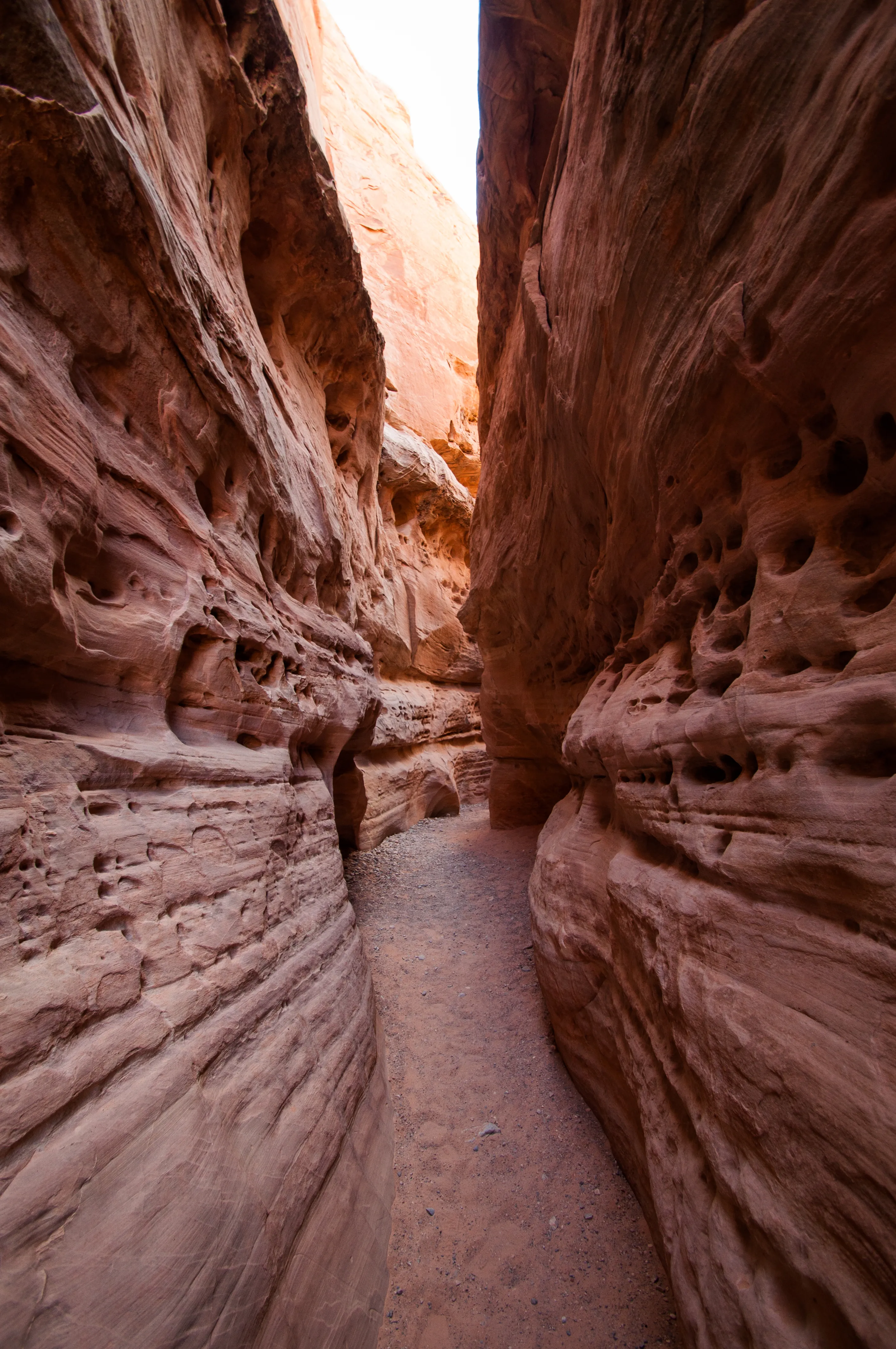Hike throughout Nevada's Valley Of Fire