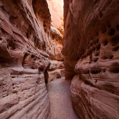 Hike throughout Nevada's Valley Of Fire