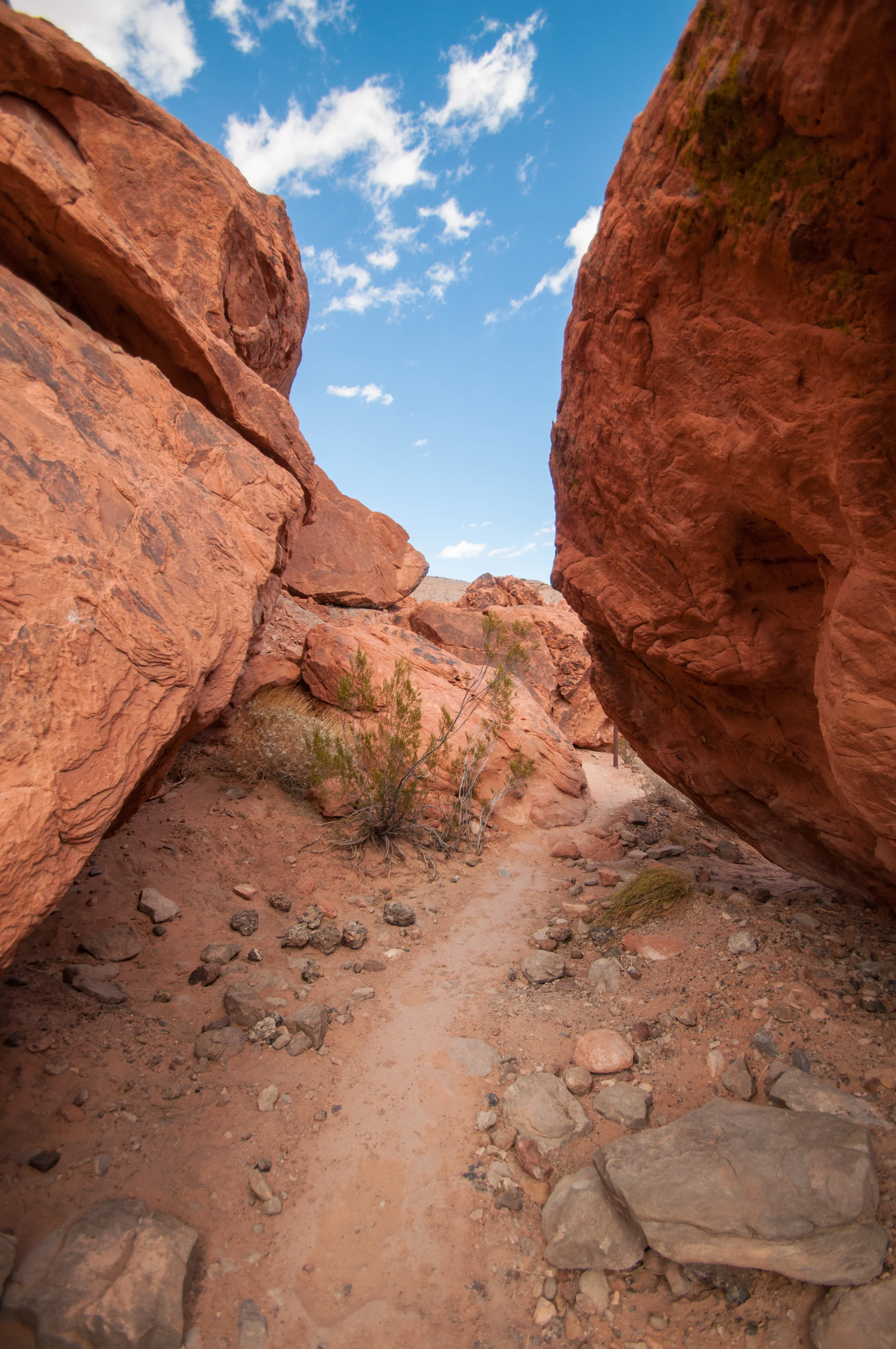 Hike throughout Nevada's Valley Of Fire