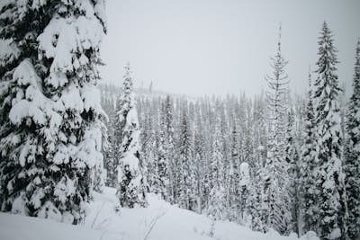 Backcountry Snowshoe and Snowboard near Lolo Pass