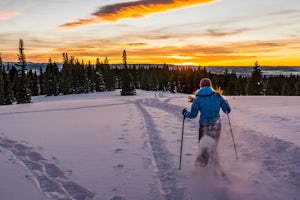 Snowshoe or Ski Rabbit Ears Pass