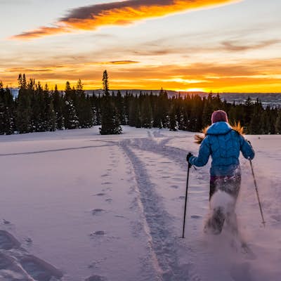 Snowshoe or Ski Rabbit Ears Pass