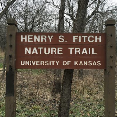 Hike the KU Field Station Trails