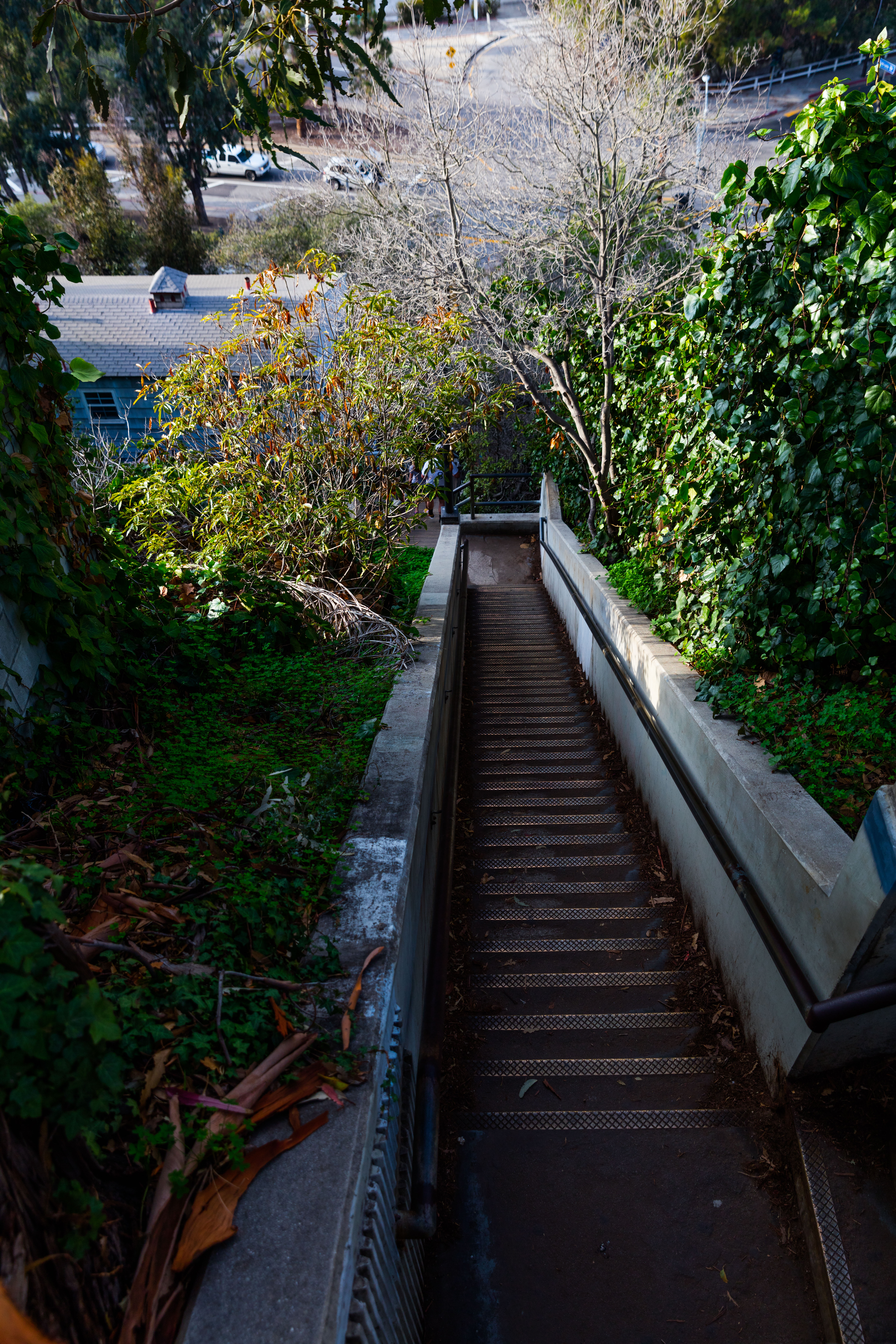 Santa Monica Concrete Stairs