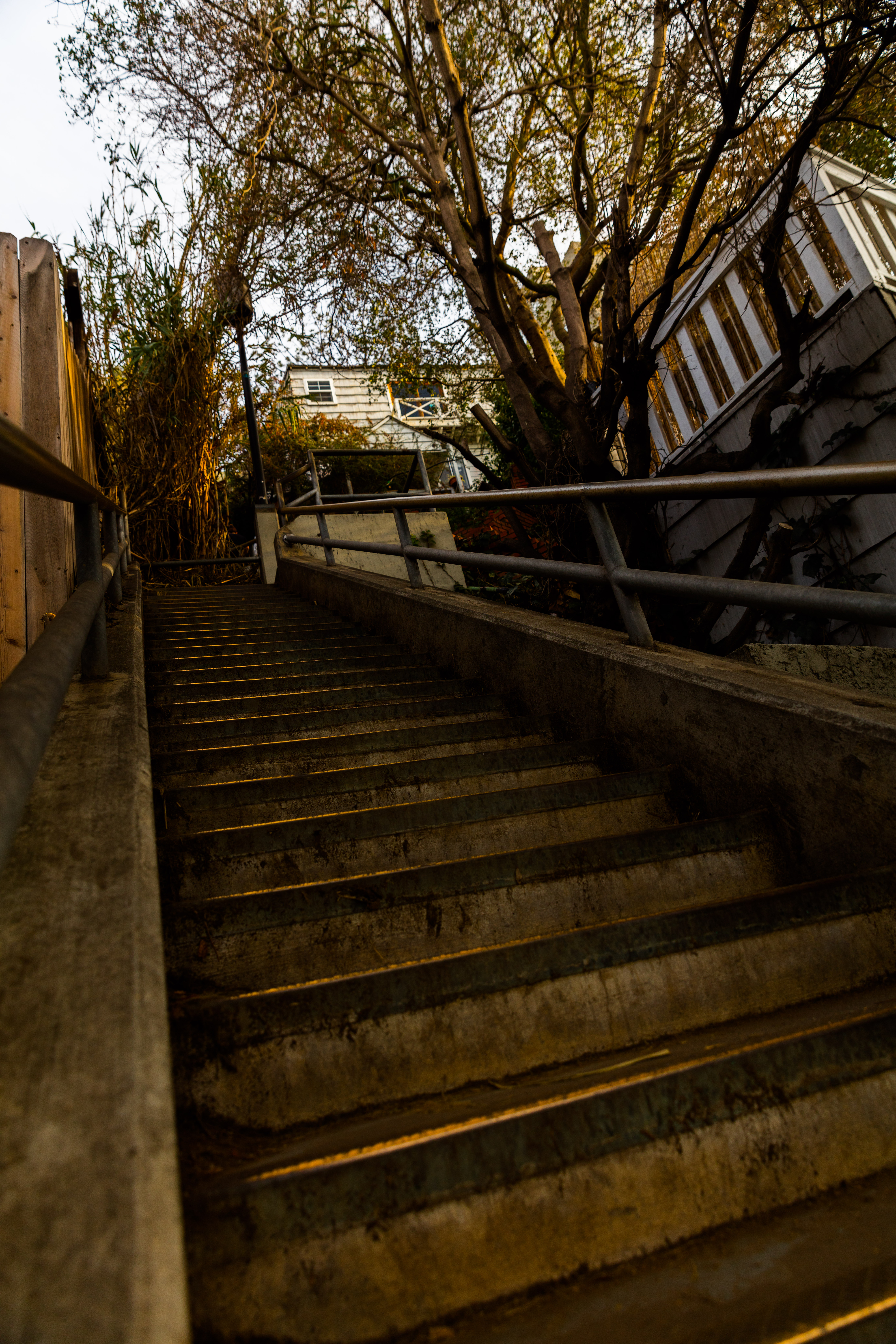 Santa Monica Concrete Stairs
