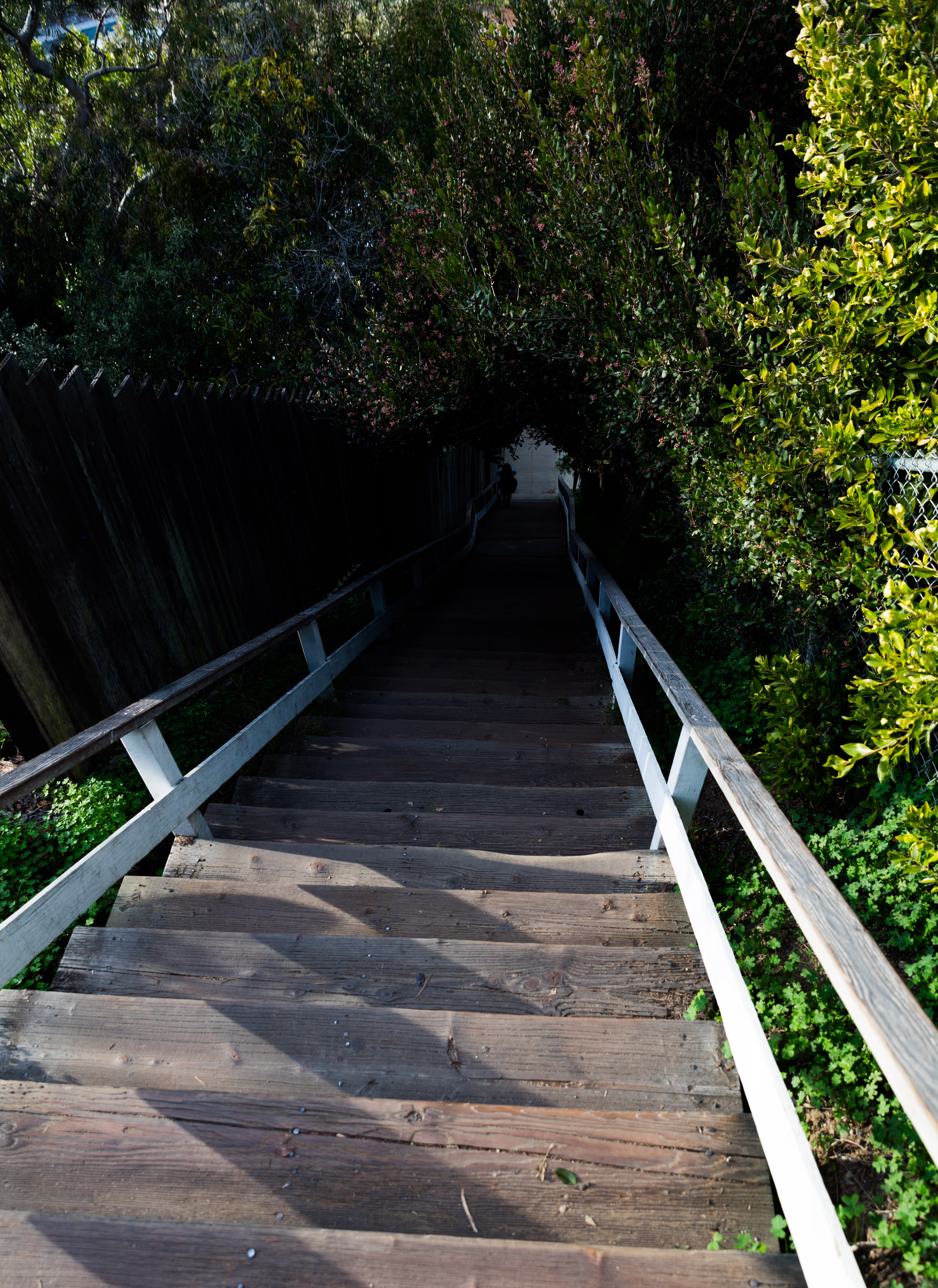 Santa Monica Wooden Stairs