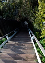 Run the Santa Monica Wooden Stairs