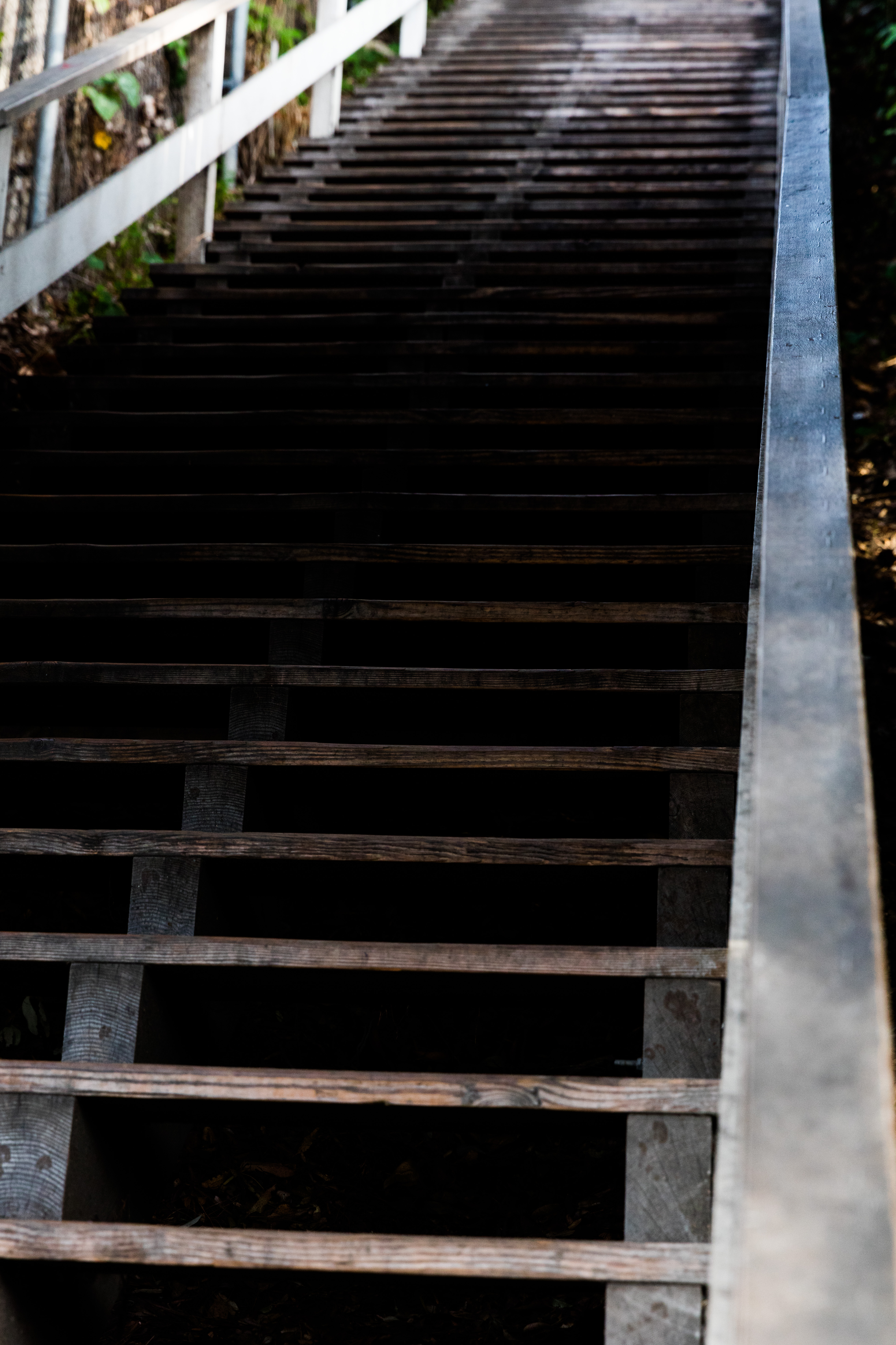 Santa Monica Wooden Stairs
