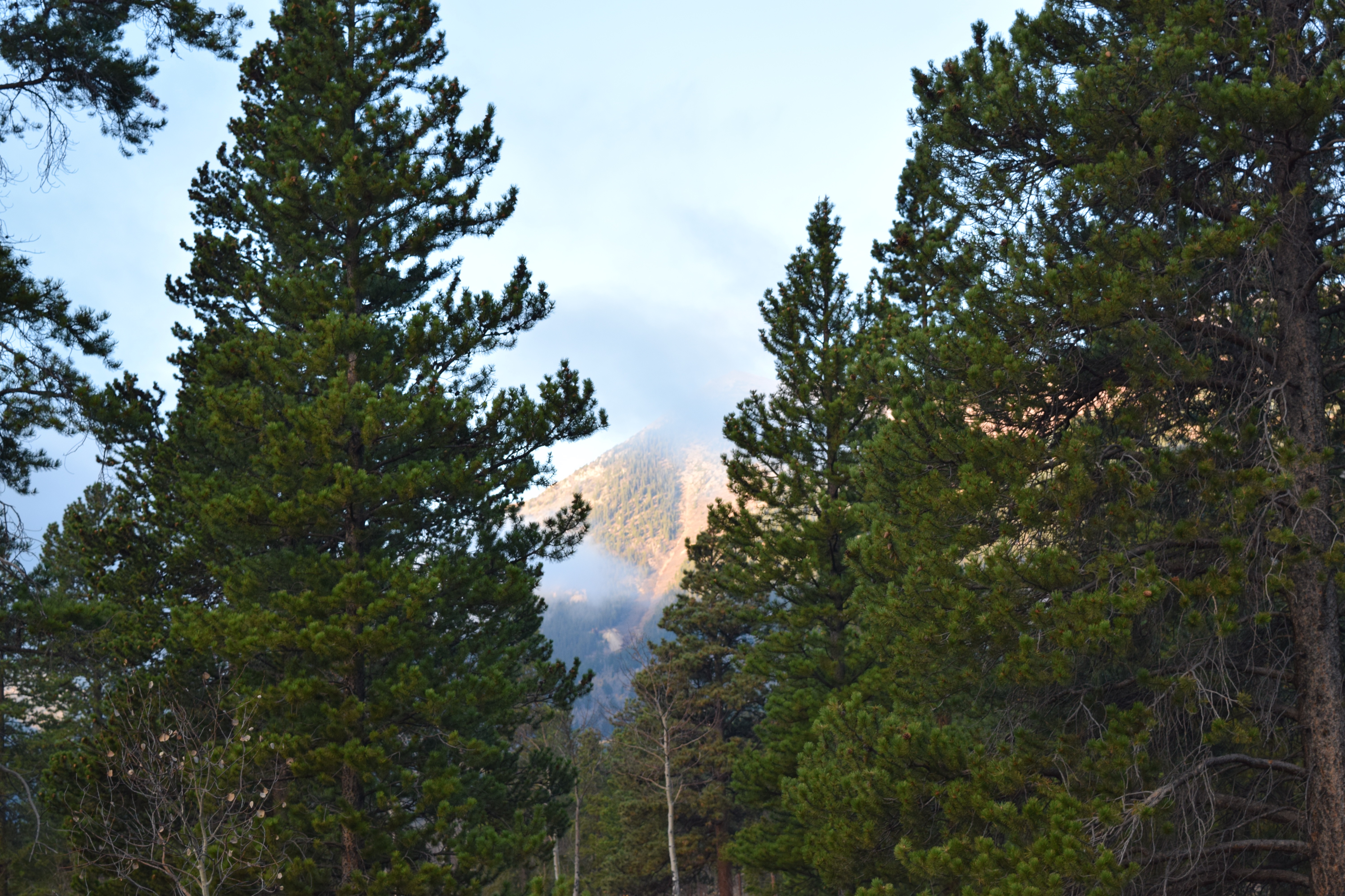 Camp at Mt. Elbert Forebay Reservoir
