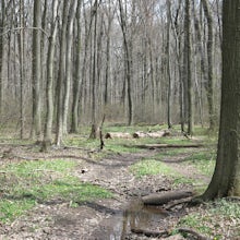 Hike the Staten Island Greenbelt