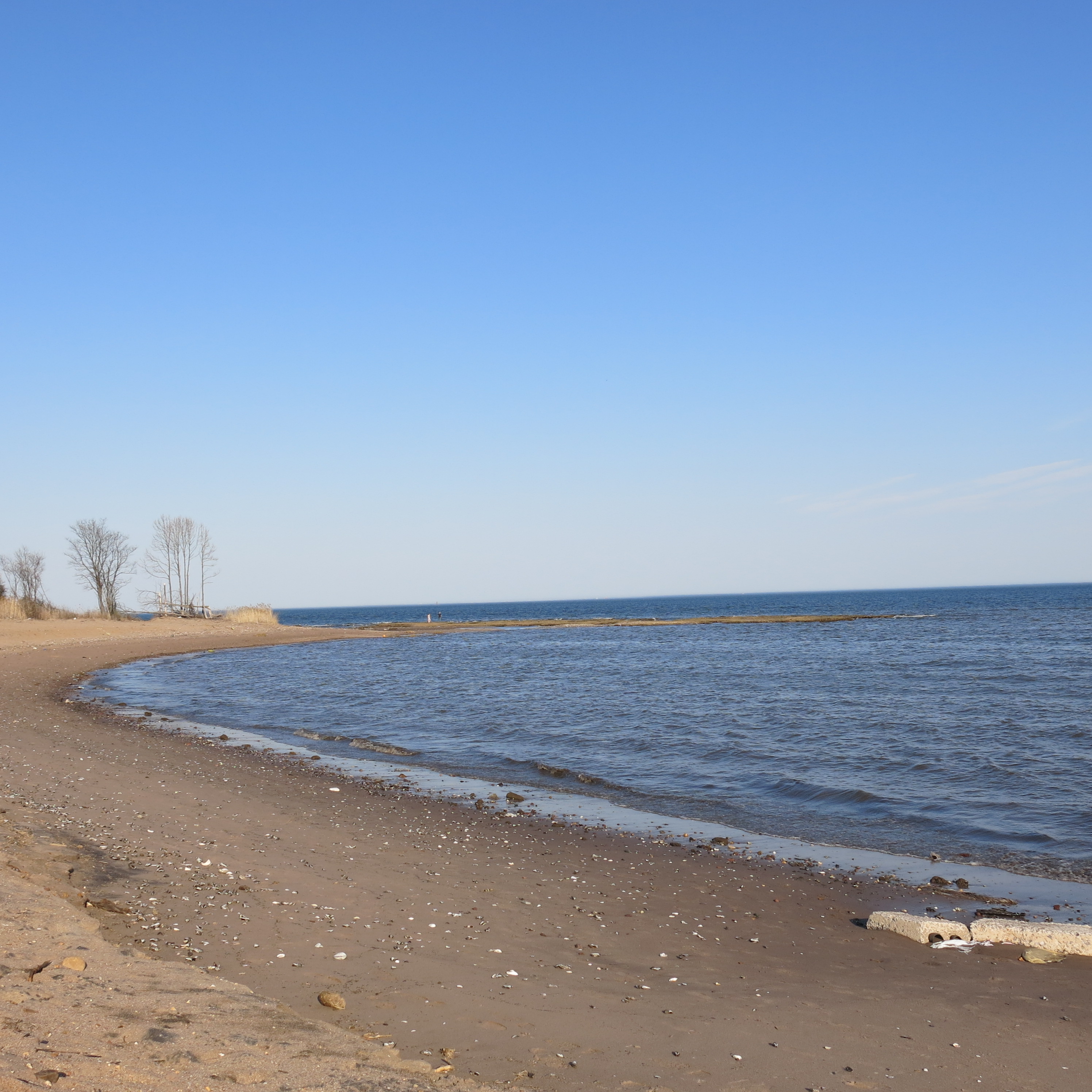 Hike the Staten Island Greenbelt