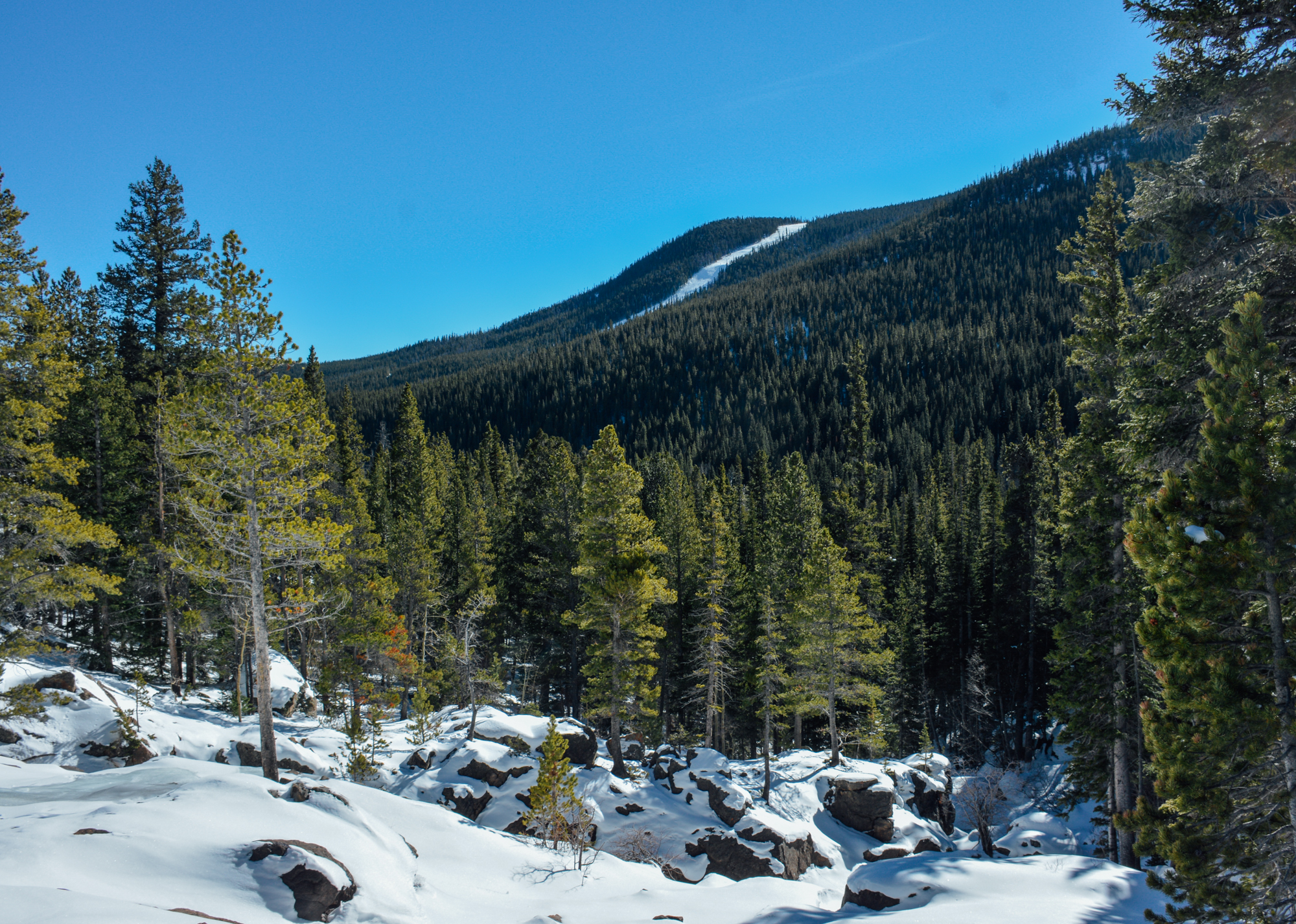 Snowshoe Lost Lake
