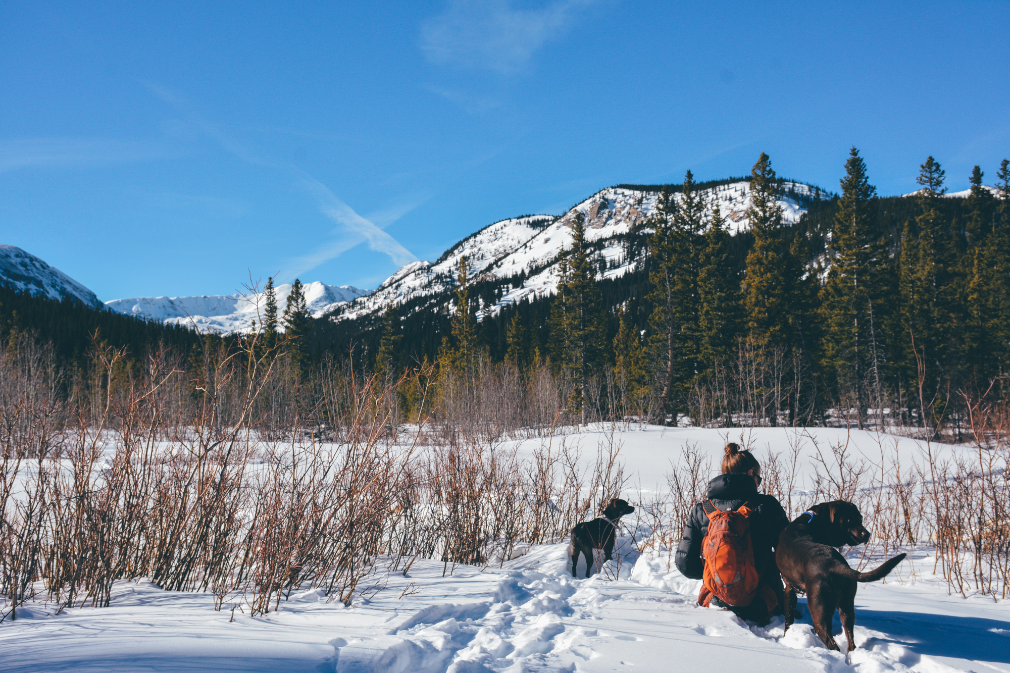 Snowshoe Lost Lake