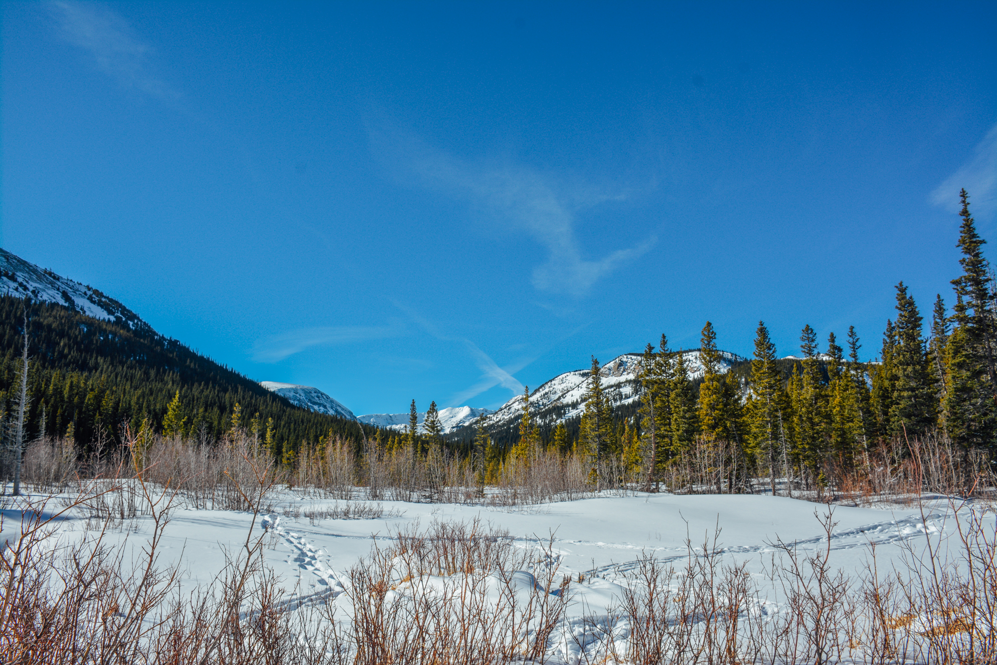 Snowshoe Lost Lake