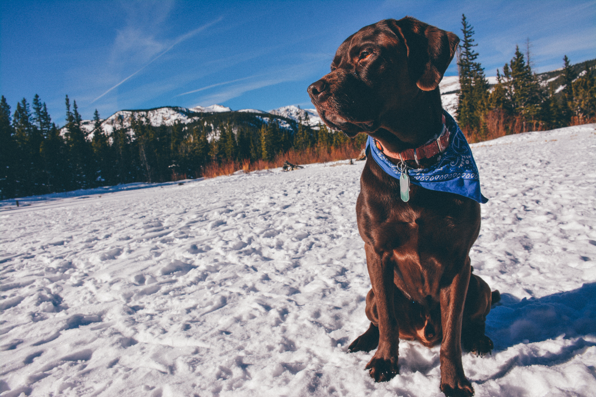 Snowshoe Lost Lake