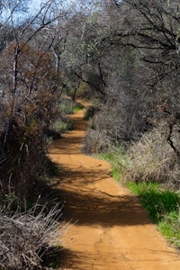 Temescal Canyon Loop