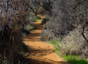 Hike the Temescal Canyon Loop
