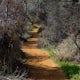 Hike the Temescal Canyon Loop