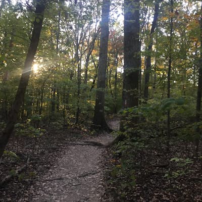 Hike the Day Loop at Long Hunter State Park