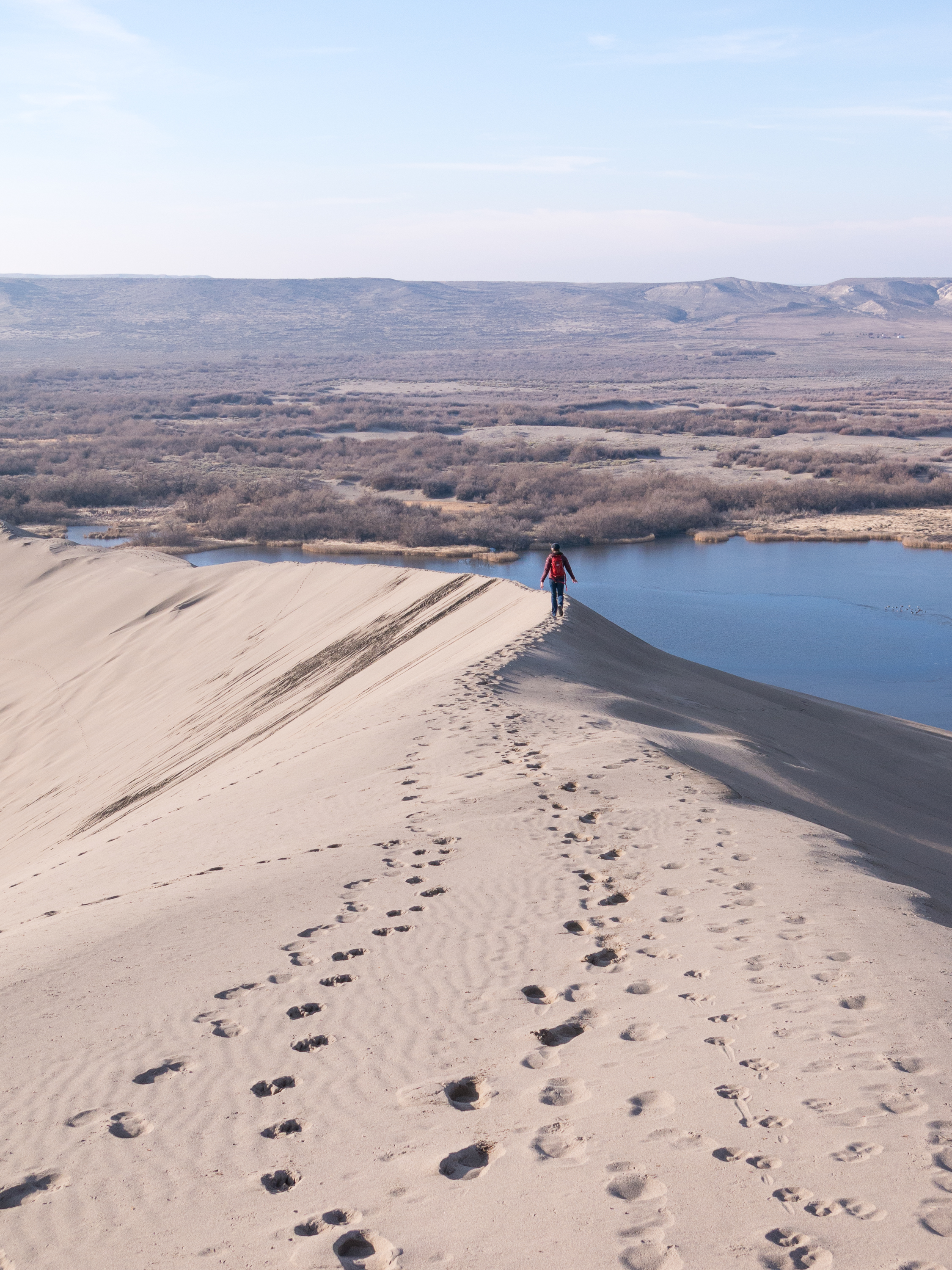 Hike the Bruneau Sand Dunes