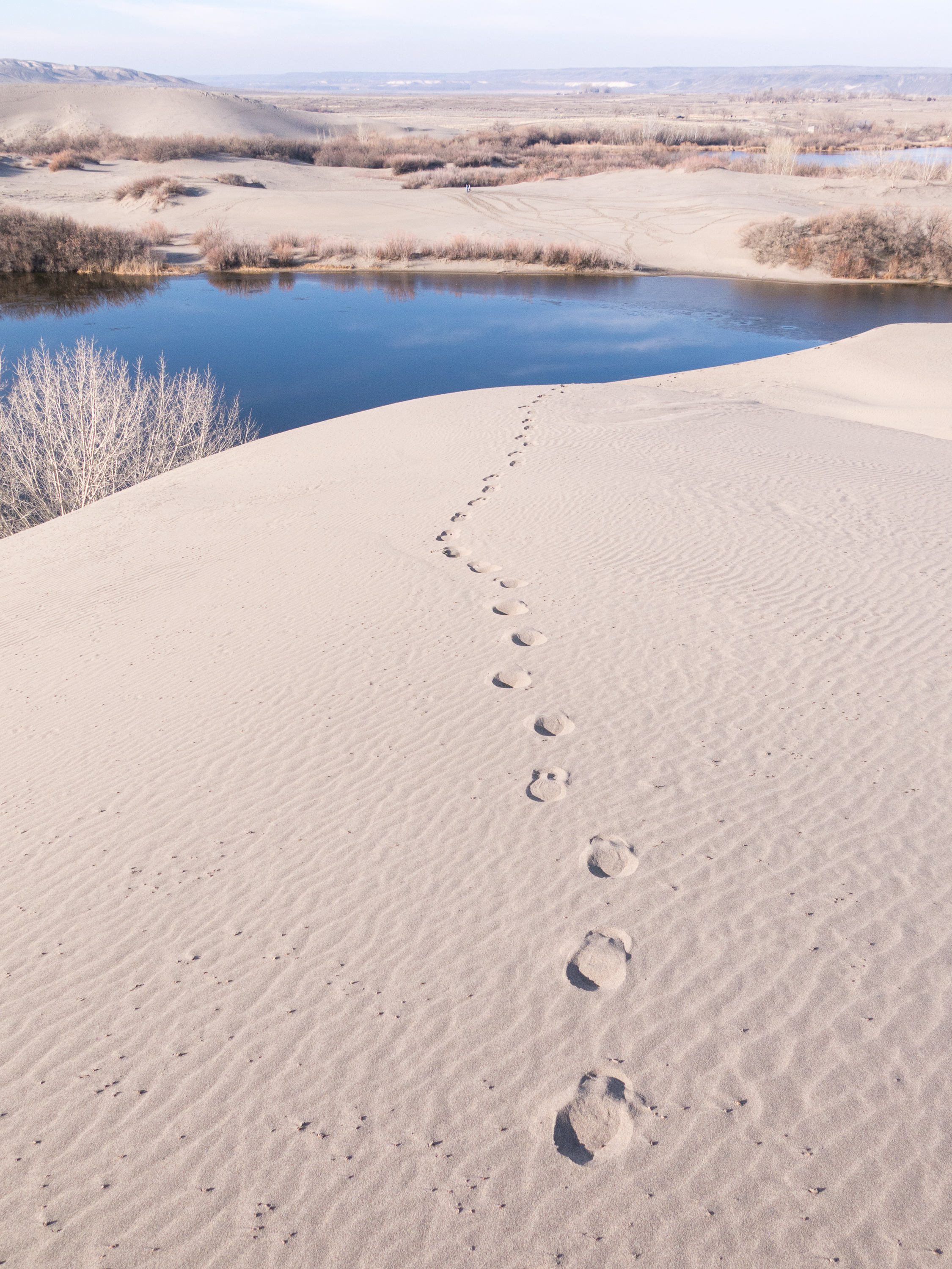 Hike the Bruneau Sand Dunes