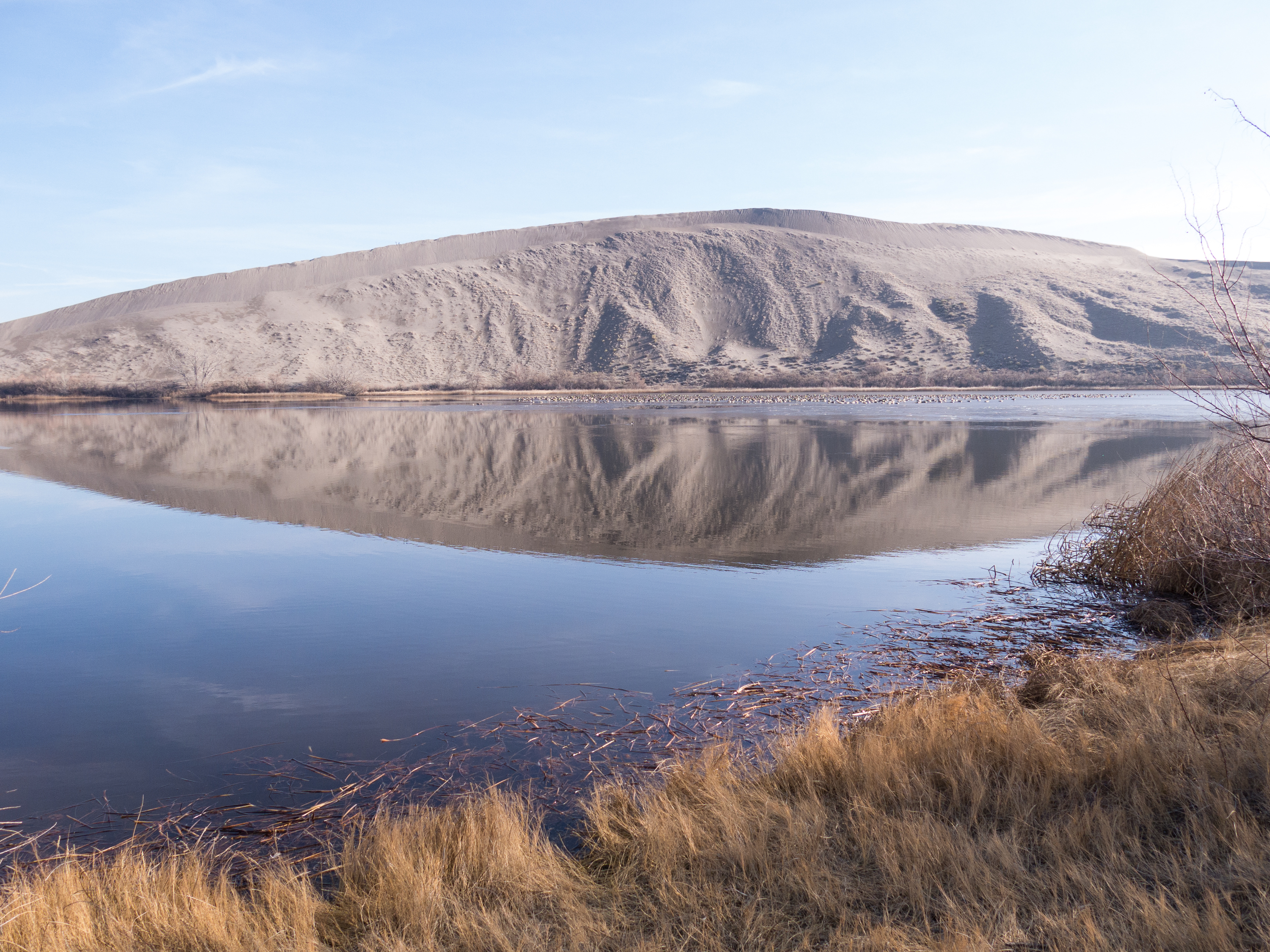 Hike the Bruneau Sand Dunes