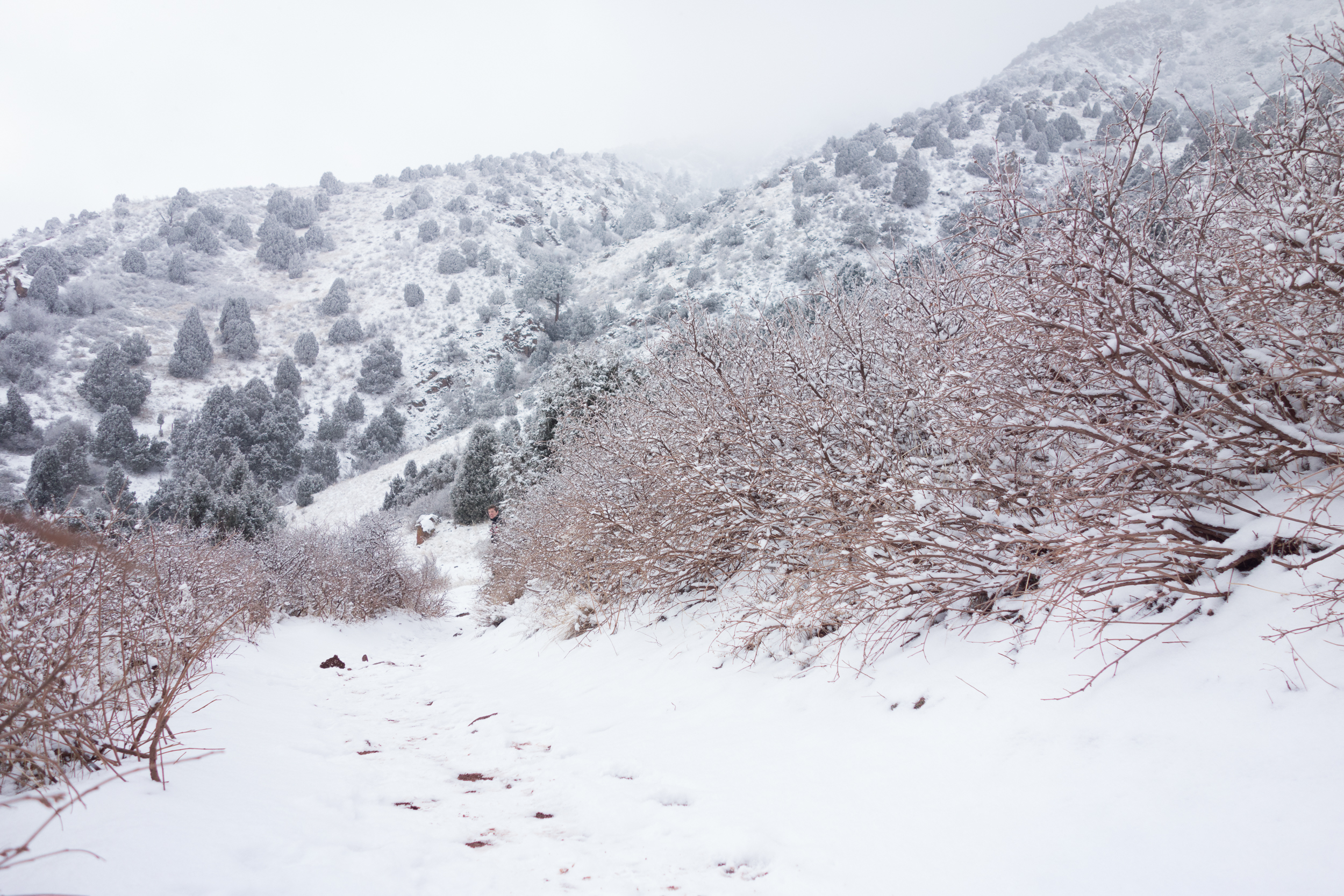 Village Walk, Red Rocks & Cherry Gulch Trail