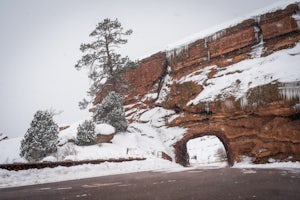 Explore Red Rocks Park in Winter