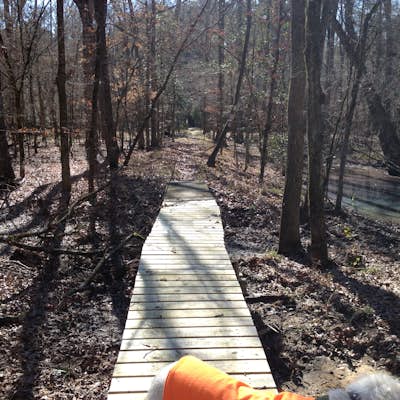 Hike on the 4C Trail in Davy Crockett National Forest