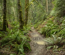 Spruce Railroad Trail