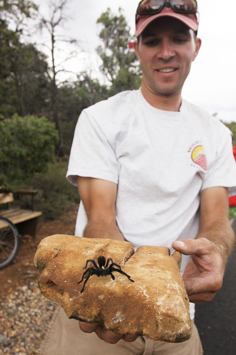 Bike the Hermit Road at the Grand Canyon