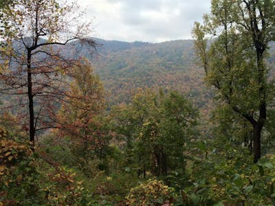 Hike at Travelers Rest