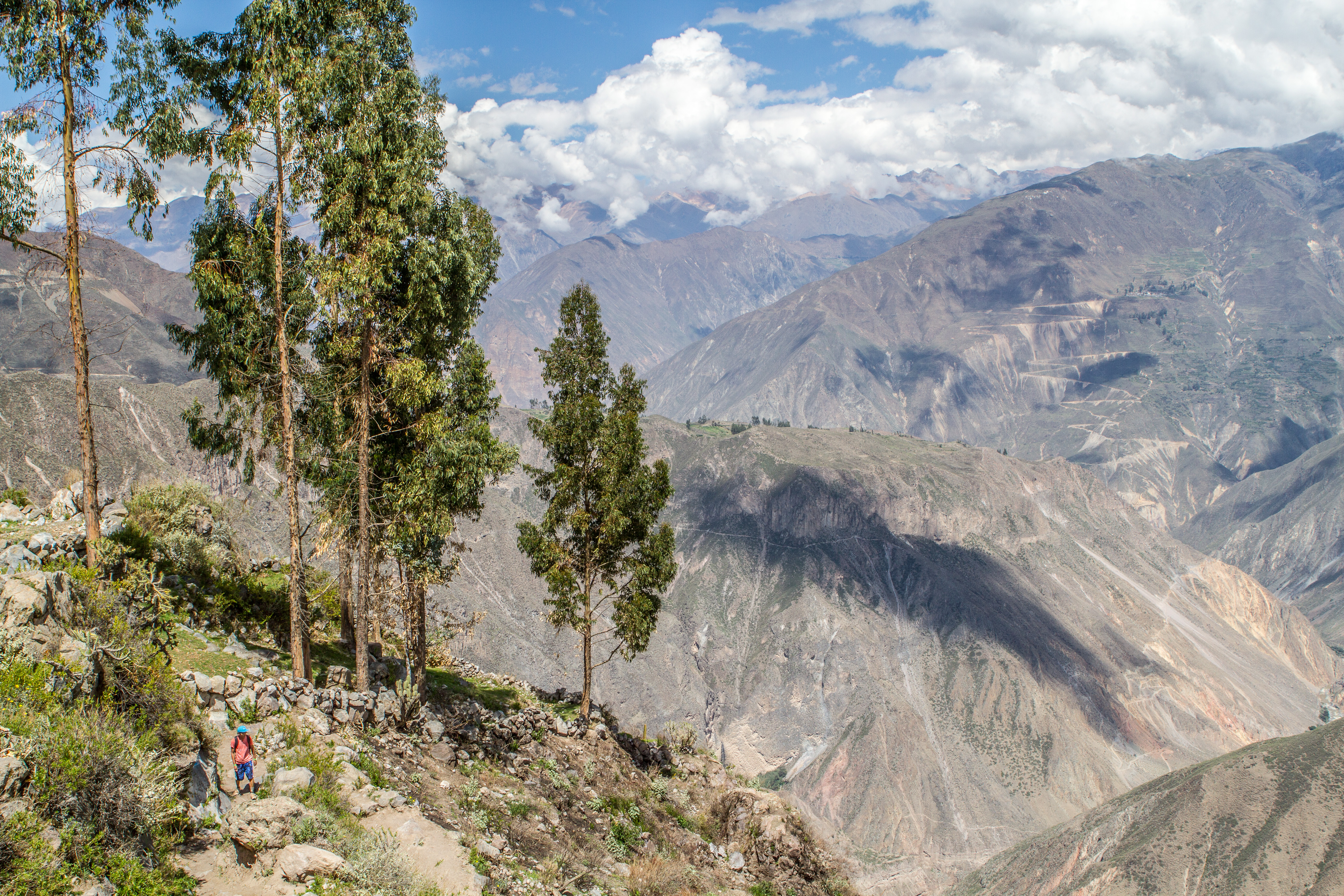 Trek Colca Canyon