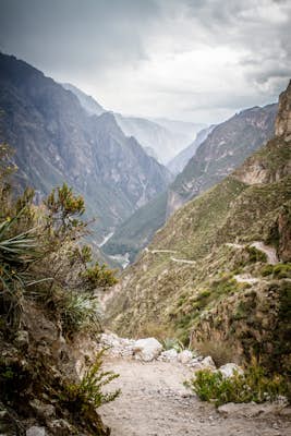 Trek Colca Canyon