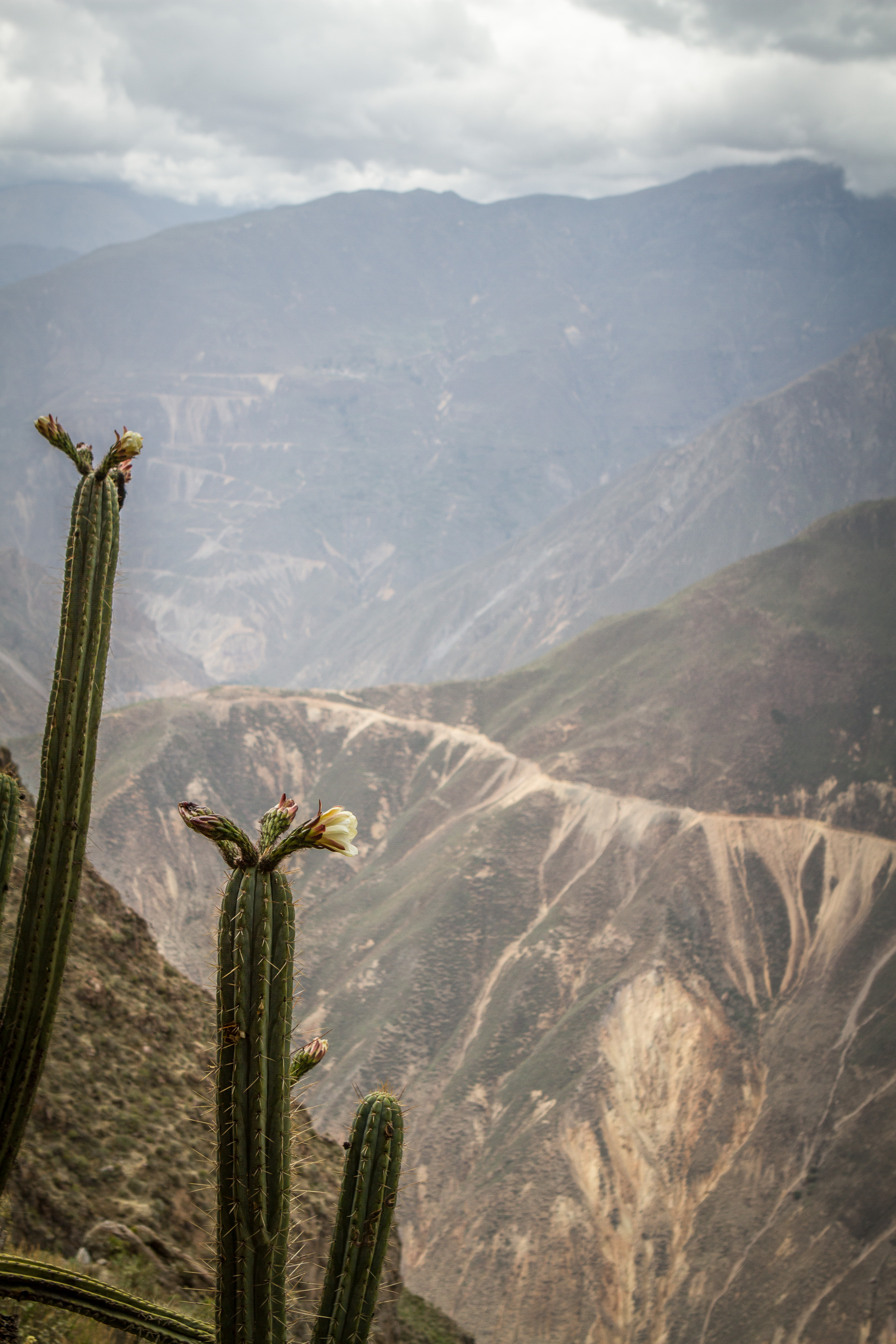 Trek Colca Canyon