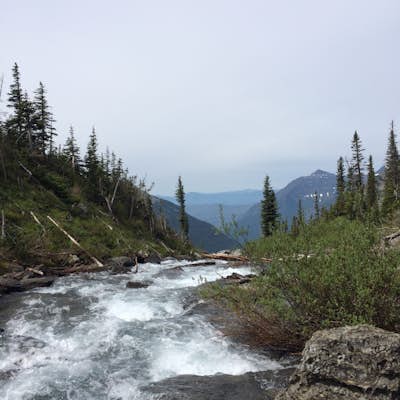 Hike to Hidden Lake in Glacier National Park