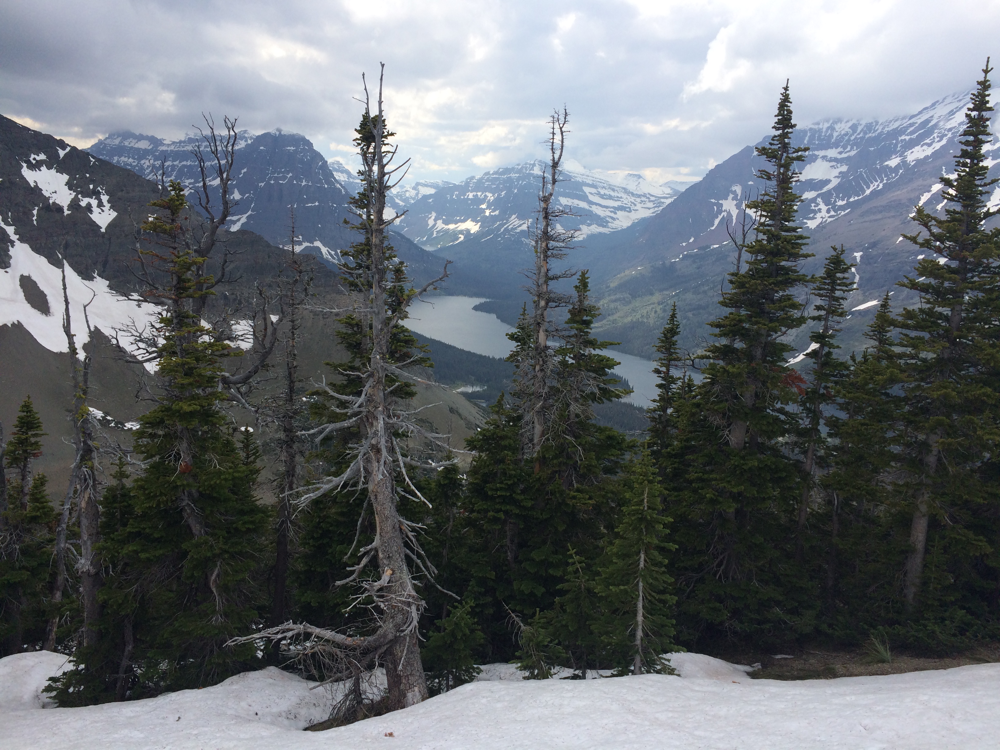 Hike to Scenic Point in Glacier National Park