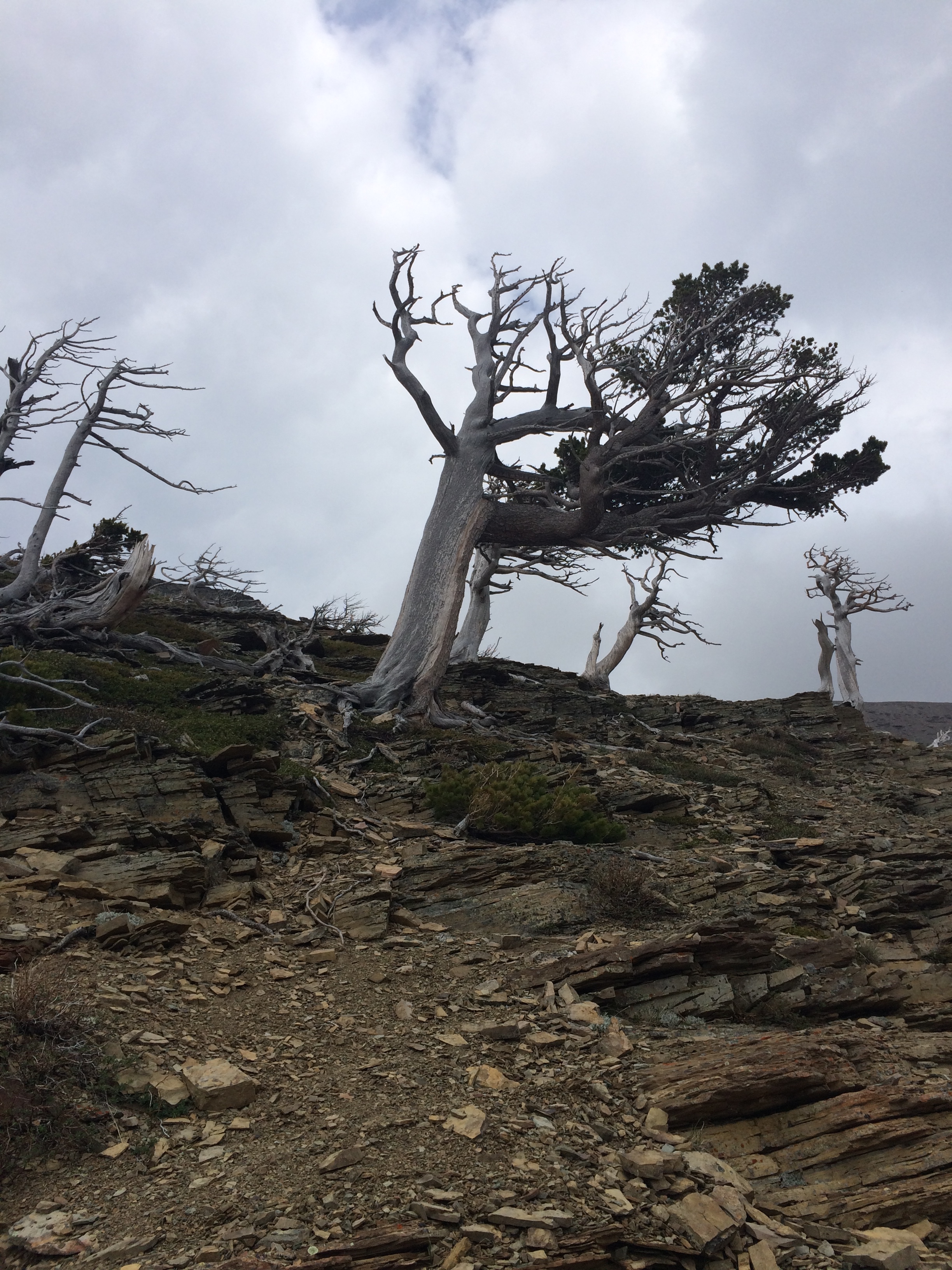Hike to Scenic Point in Glacier National Park